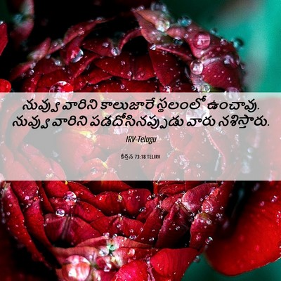 Picture 06 - కీర్తన 73:18 TELIRV - నువ్వు వారిని - Bible Verse Picture