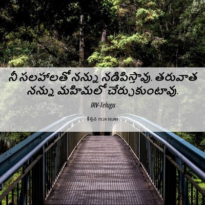 Picture 06 - కీర్తన 73:24 TELIRV - నీ సలహాలతో నన్ను - Bible Verse Picture