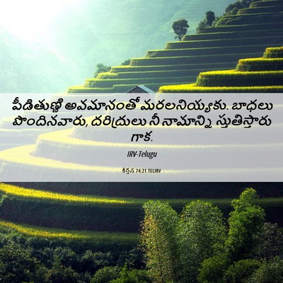 Picture 06 - కీర్తన 74:21 TELIRV - పీడితుణ్ణి - Bible Verse Picture