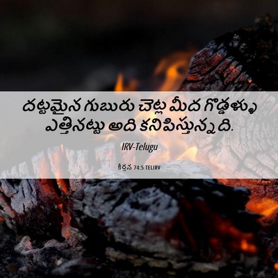 Picture 06 - కీర్తన 74:5 TELIRV - దట్టమైన గుబురు - Bible Verse Picture