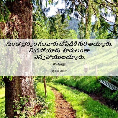 Picture 06 - కీర్తన 76:5 TELIRV - గుండె ధైర్యం - Bible Verse Picture