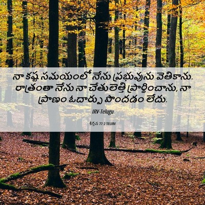 Picture 06 - కీర్తన 77:2 TELIRV - నా కష్ట సమయంలో - Bible Verse Picture