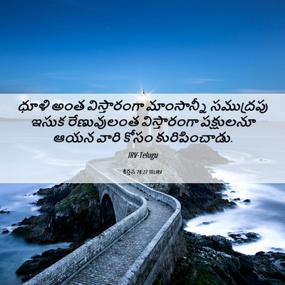 Picture 06 - కీర్తన 78:27 TELIRV - ధూళి అంత - Bible Verse Picture