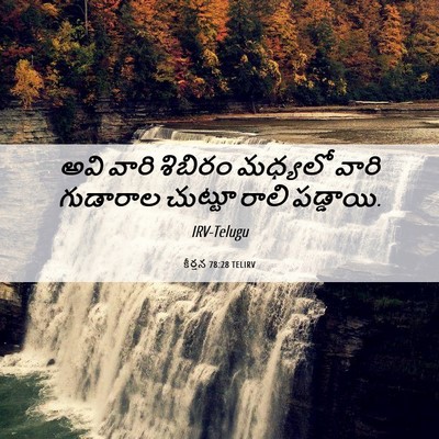 Picture 06 - కీర్తన 78:28 TELIRV - అవి వారి శిబిరం - Bible Verse Picture
