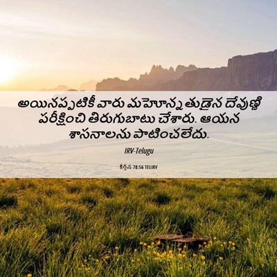 Picture 06 - కీర్తన 78:56 TELIRV - అయినప్పటికీ వారు - Bible Verse Picture