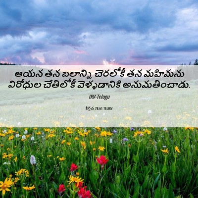 Picture 06 - కీర్తన 78:61 TELIRV - ఆయన తన బలాన్ని - Bible Verse Picture