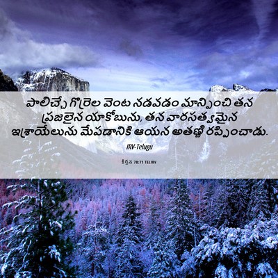 Picture 06 - కీర్తన 78:71 TELIRV - పాలిచ్చే గొర్రెల - Bible Verse Picture