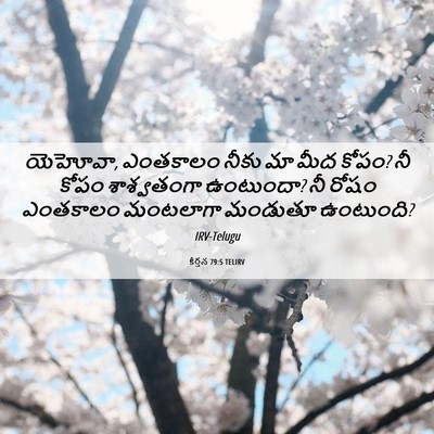 Picture 06 - కీర్తన 79:5 TELIRV - యెహోవా, ఎంతకాలం - Bible Verse Picture