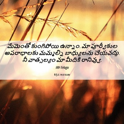 Picture 06 - కీర్తన 79:8 TELIRV - మేమెంతో కుంగిపోయి - Bible Verse Picture