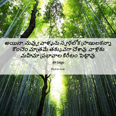 Picture 06 - కీర్తన 8:5 TELIRV - అయినా, నువ్వు - Bible Verse Picture