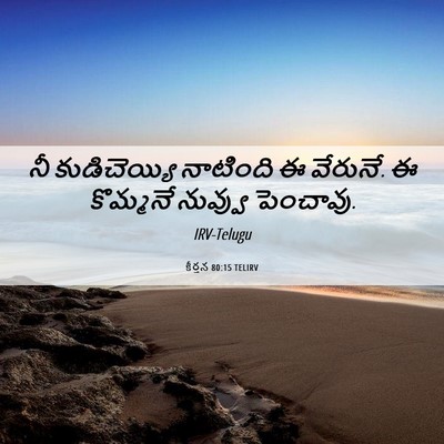 Picture 06 - కీర్తన 80:15 TELIRV - నీ కుడిచెయ్యి - Bible Verse Picture