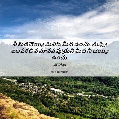 Picture 06 - కీర్తన 80:17 TELIRV - నీ కుడిచెయ్యి - Bible Verse Picture