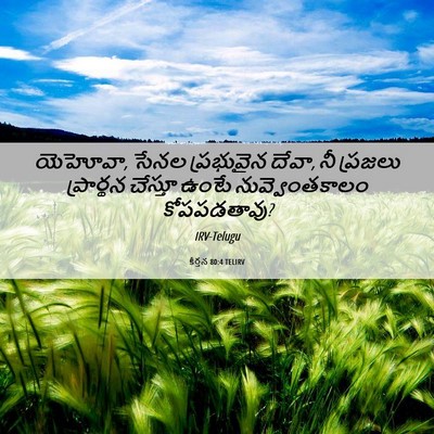 Picture 06 - కీర్తన 80:4 TELIRV - యెహోవా, సేనల - Bible Verse Picture
