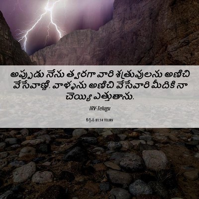 Picture 06 - కీర్తన 81:14 TELIRV - అప్పుడు నేను - Bible Verse Picture