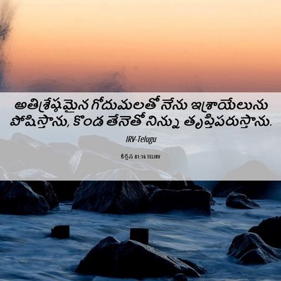 Picture 06 - కీర్తన 81:16 TELIRV - అతిశ్రేష్ఠమైన - Bible Verse Picture