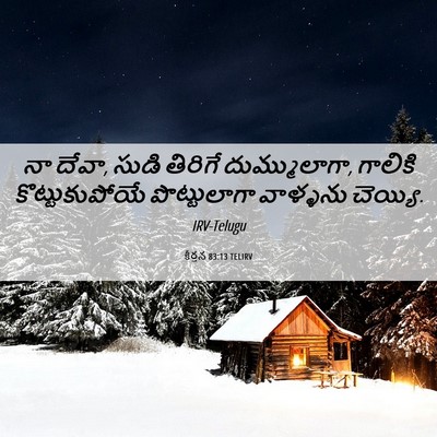 Picture 06 - కీర్తన 83:13 TELIRV - నా దేవా, సుడి - Bible Verse Picture