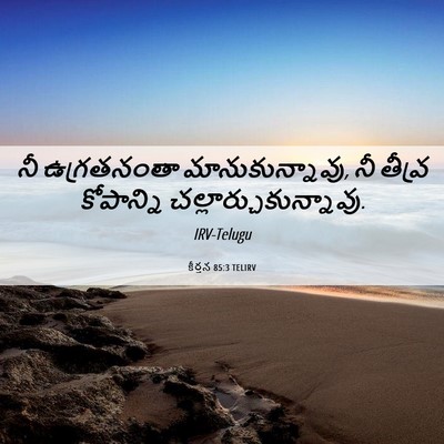 Picture 06 - కీర్తన 85:3 TELIRV - నీ ఉగ్రతనంతా - Bible Verse Picture