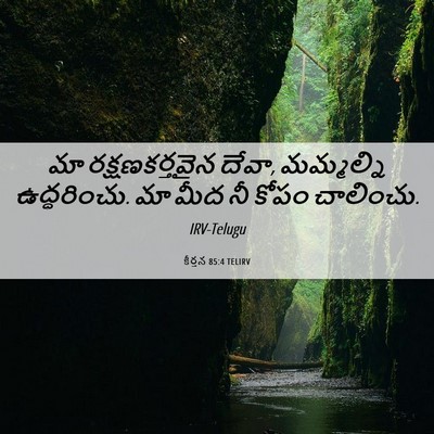 Picture 06 - కీర్తన 85:4 TELIRV - మా రక్షణకర్తవైన - Bible Verse Picture