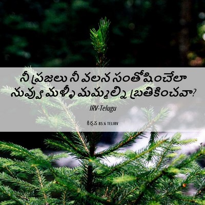 Picture 06 - కీర్తన 85:6 TELIRV - నీ ప్రజలు నీ వలన - Bible Verse Picture