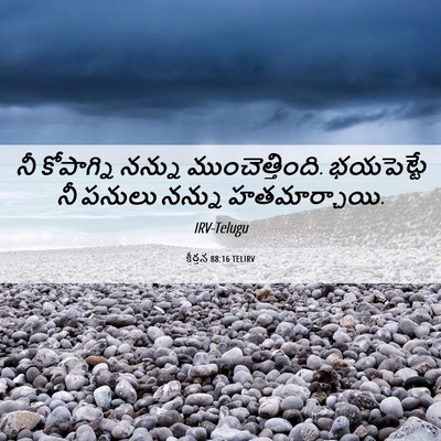 Picture 06 - కీర్తన 88:16 TELIRV - నీ కోపాగ్ని నన్ను - Bible Verse Picture