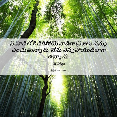 Picture 06 - కీర్తన 88:4 TELIRV - సమాధిలోకి - Bible Verse Picture