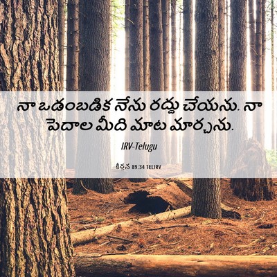 Picture 06 - కీర్తన 89:34 TELIRV - నా ఒడంబడిక నేను - Bible Verse Picture