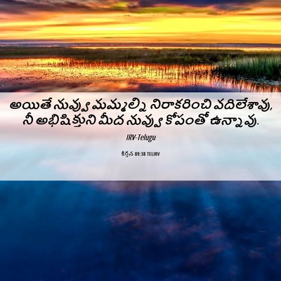 Picture 06 - కీర్తన 89:38 TELIRV - అయితే నువ్వు - Bible Verse Picture