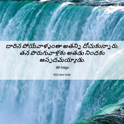 Picture 06 - కీర్తన 89:41 TELIRV - దారిన - Bible Verse Picture