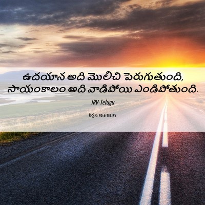 Picture 06 - కీర్తన 90:6 TELIRV - ఉదయాన అది మొలిచి - Bible Verse Picture
