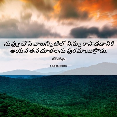 Picture 06 - కీర్తన 91:11 TELIRV - నువ్వు చేసే - Bible Verse Picture