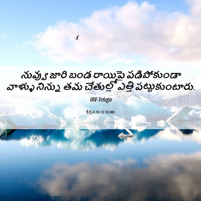 Picture 06 - కీర్తన 91:12 TELIRV - నువ్వు జారి బండ - Bible Verse Picture