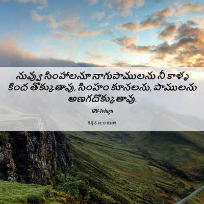 Picture 06 - కీర్తన 91:13 TELIRV - నువ్వు సింహాలనూ - Bible Verse Picture