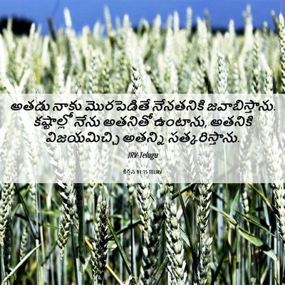 Picture 06 - కీర్తన 91:15 TELIRV - అతడు నాకు - Bible Verse Picture