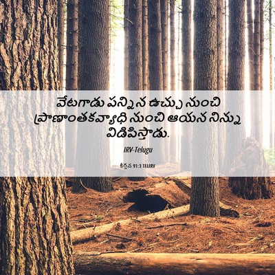 Picture 06 - కీర్తన 91:3 TELIRV - వేటగాడు పన్నిన - Bible Verse Picture