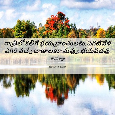 Picture 06 - కీర్తన 91:5 TELIRV - రాత్రిలో కలిగే - Bible Verse Picture