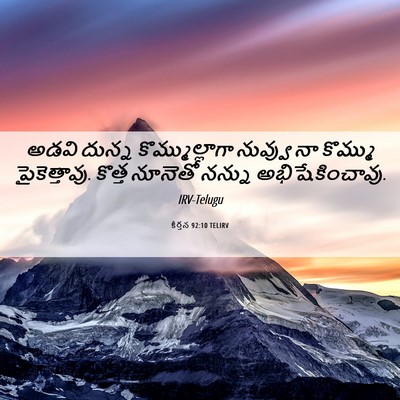 Picture 06 - కీర్తన 92:10 TELIRV - అడవి దున్న - Bible Verse Picture