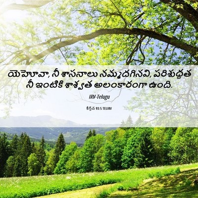 Picture 06 - కీర్తన 93:5 TELIRV - యెహోవా, నీ శాసనాలు - Bible Verse Picture