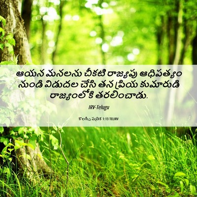 Picture 06 - కొలస్సీ పత్రిక 1:13 TELIRV - ఆయన మనలను చీకటి - Bible Verse Picture