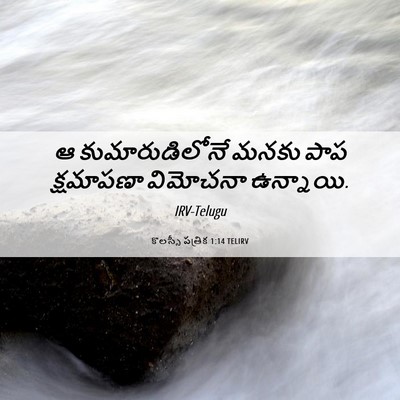 Picture 06 - కొలస్సీ పత్రిక 1:14 TELIRV - ఆ కుమారుడిలోనే - Bible Verse Picture