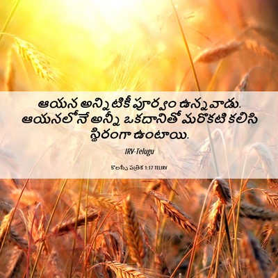 Picture 06 - కొలస్సీ పత్రిక 1:17 TELIRV - ఆయన అన్నిటికీ - Bible Verse Picture