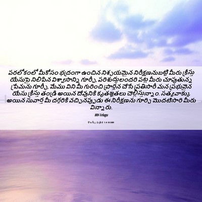 Picture 06 - కొలస్సీ పత్రిక 1:4 TELIRV - పరలోకంలో మీకోసం - Bible Verse Picture
