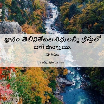 Picture 06 - కొలస్సీ పత్రిక 2:3 TELIRV - జ్ఞానం, - Bible Verse Picture
