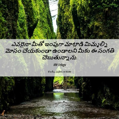 Picture 06 - కొలస్సీ పత్రిక 2:4 TELIRV - ఎవరైనా మీతో - Bible Verse Picture