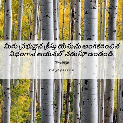 Picture 06 - కొలస్సీ పత్రిక 2:6 TELIRV - మీరు ప్రభువైన - Bible Verse Picture