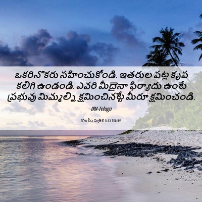 Picture 06 - కొలస్సీ పత్రిక 3:13 TELIRV - ఒకరినొకరు - Bible Verse Picture