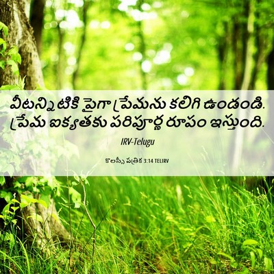 Picture 06 - కొలస్సీ పత్రిక 3:14 TELIRV - వీటన్నిటికి పైగా - Bible Verse Picture