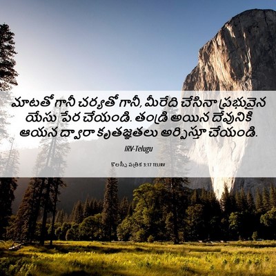 Picture 06 - కొలస్సీ పత్రిక 3:17 TELIRV - మాటతో గానీ చర్యతో - Bible Verse Picture