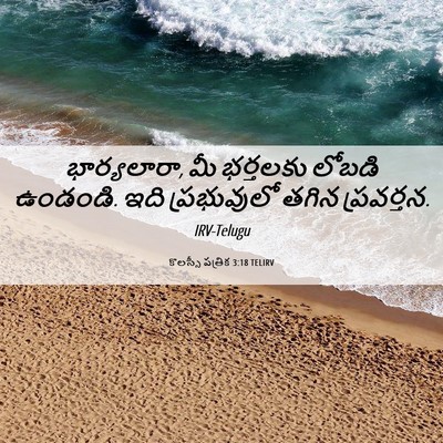 Picture 06 - కొలస్సీ పత్రిక 3:18 TELIRV - భార్యలారా, మీ - Bible Verse Picture