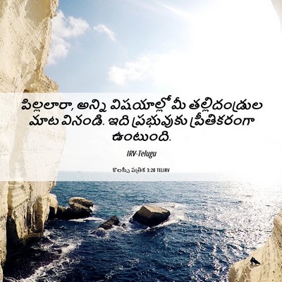 Picture 06 - కొలస్సీ పత్రిక 3:20 TELIRV - పిల్లలారా, అన్ని - Bible Verse Picture