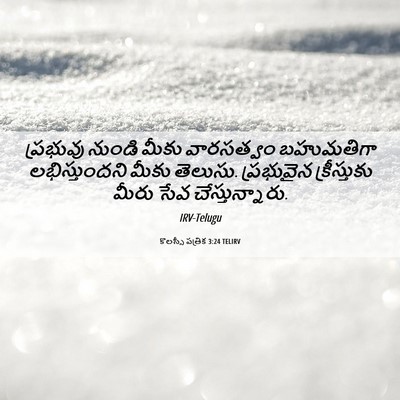 Picture 06 - కొలస్సీ పత్రిక 3:24 TELIRV - ప్రభువు నుండి - Bible Verse Picture